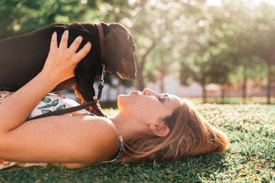 Breathe Easy: A Guide to Naturally Freshening Your Dog's Breath