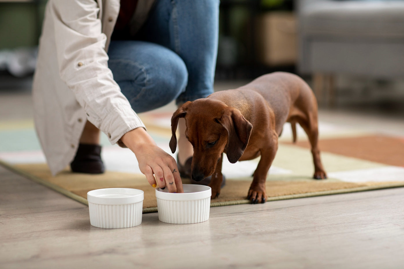 From High to Healthy: Natural Remedies for Lowering Creatinine Levels in Dogs