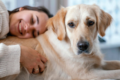 The Ultimate Guide to Natural Pain Relief for Dogs: Effective Solutions for Your Furry Friend