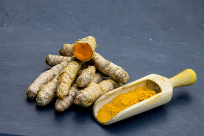 Unlocking the Potential: The Benefits of Turmeric for Dogs