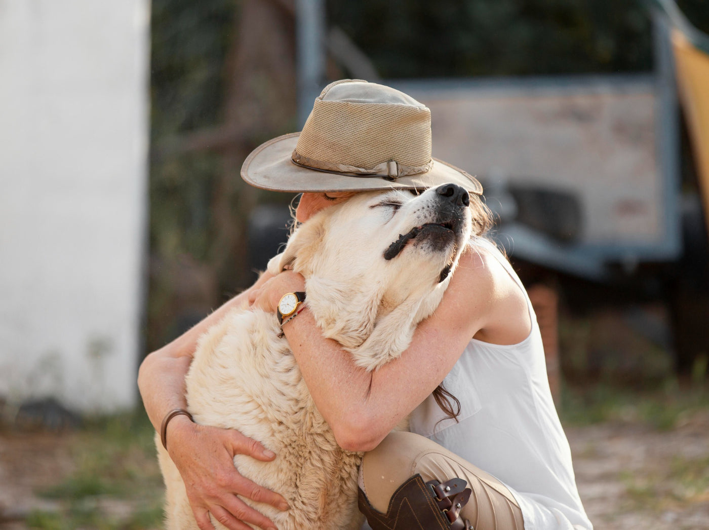 The Ultimate Guide to Natural Pain Relief for Dogs: Helping Your Furry Friend Find Relief