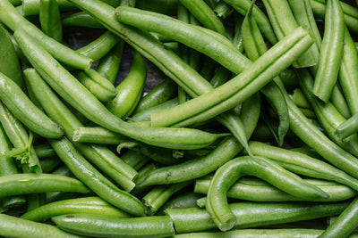 The Green Bean Solution: Can Adding Green Beans to Your Dog's Diet Improve Their Health?