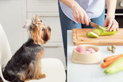 Boost Your Dog's Health: Discover the Natural Ways to Add Fiber to Their Diet