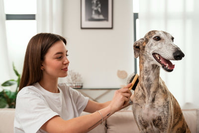 Say Goodbye to Dog Dandruff: Effective Natural Solutions to Try Today