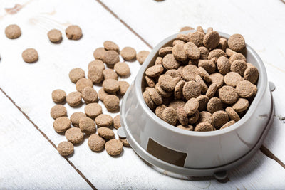 A Comprehensive Review of Kirkland Dog Food: Is It the Best Choice for Your Furry Friend?