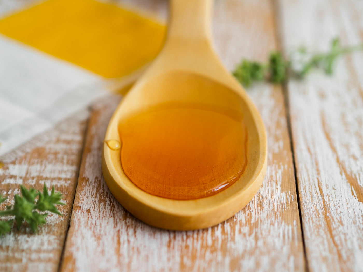The Benefits of Manuka Honey for Dogs: Enhance Your Pet's Health Naturally