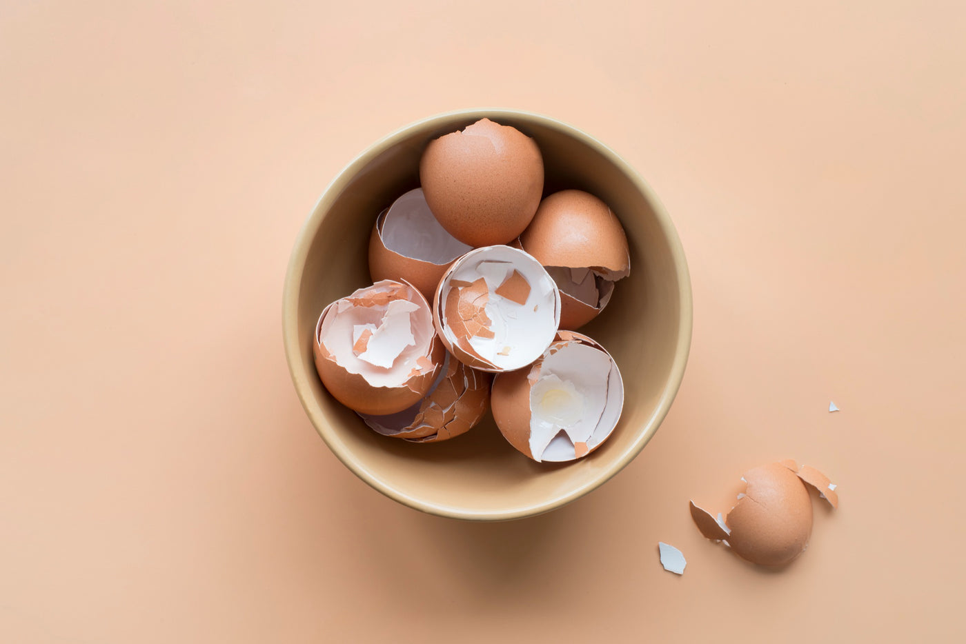 Exploring the Myth: Can Dogs Eat Egg Shells? What Every Dog Owner Should Know