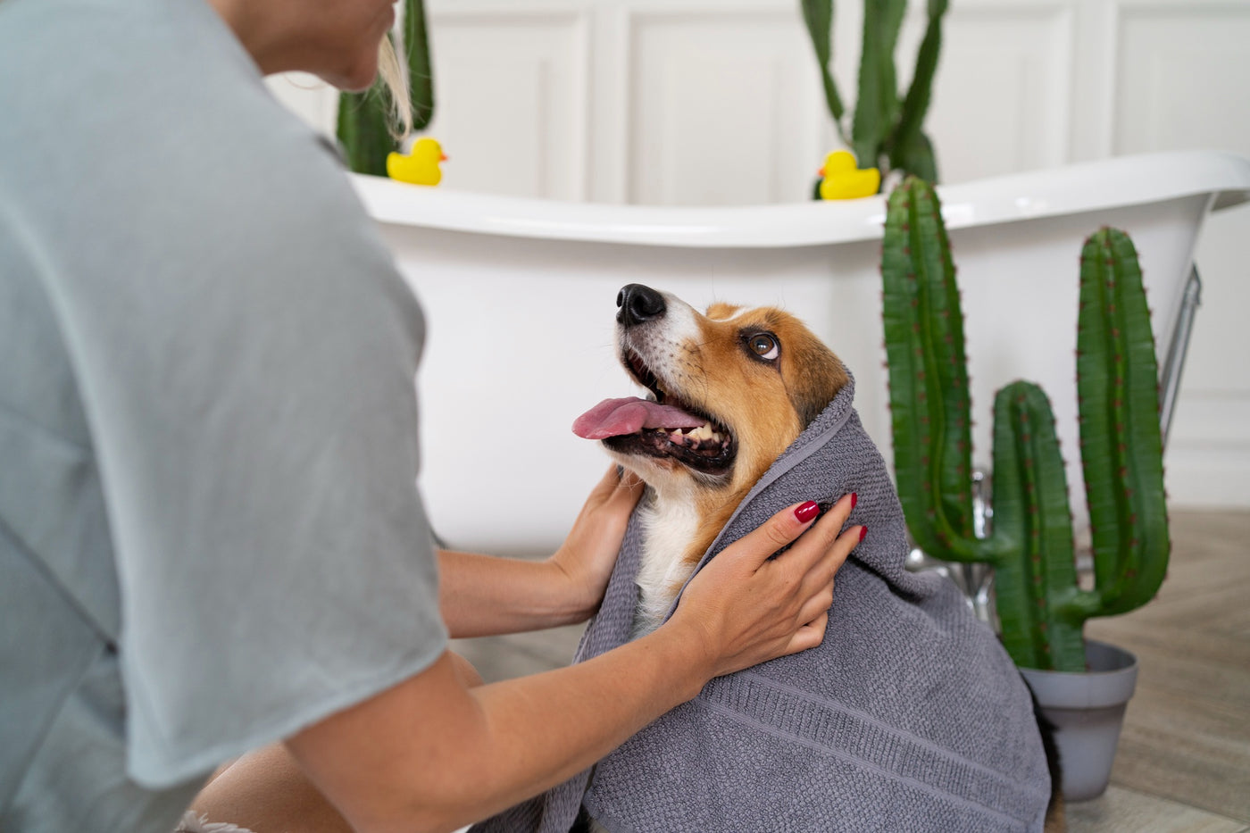 Why Dry Shampoo for Dogs is a Game-Changer for Busy Pet Owners