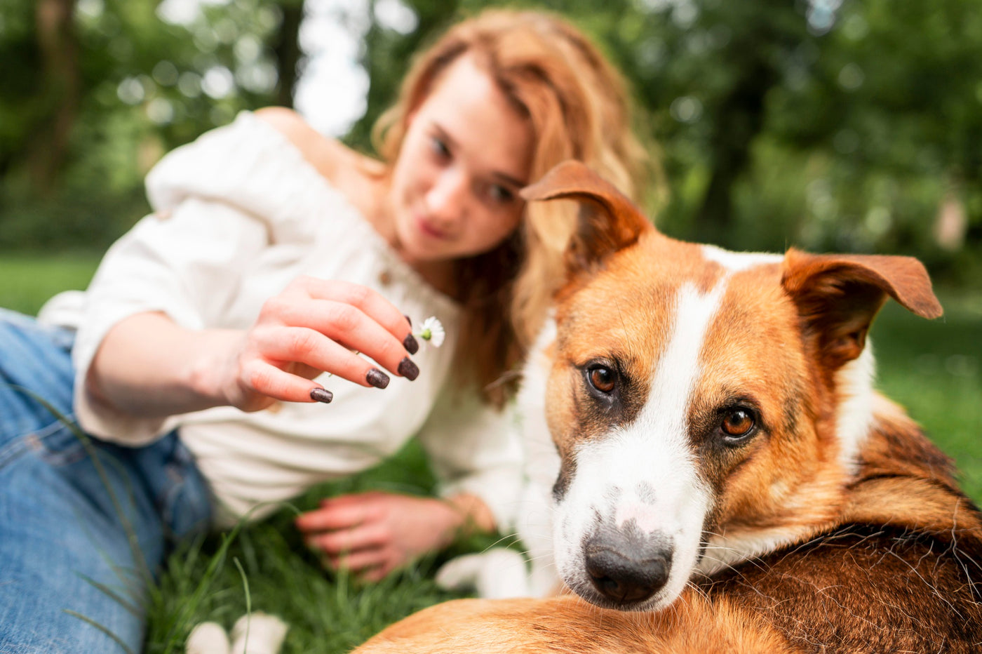 A Natural Approach: Lowering Calcium Levels in Dogs for Optimal Health